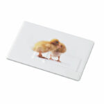 Memorama USB