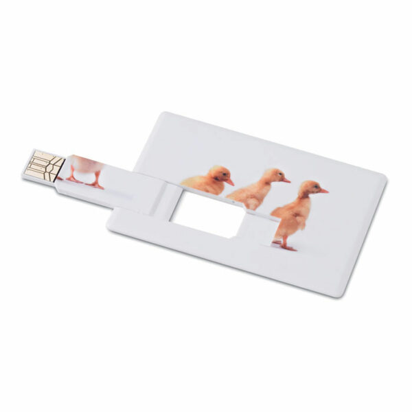 Creditcard. USB flash     4GB  MO1059-06