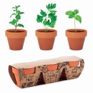 Set di erbe in terracotta