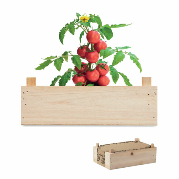 Kit di semi di pomodor