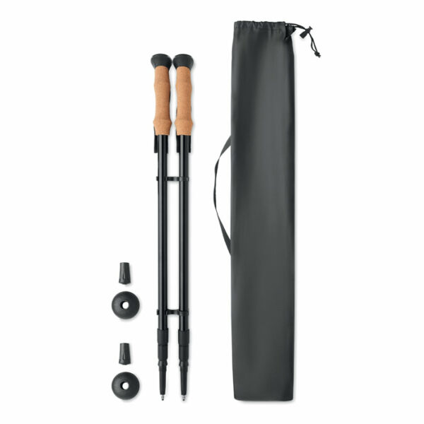 Bastoncini da nordic walking